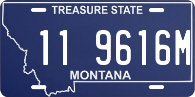 MT license plate 119616M