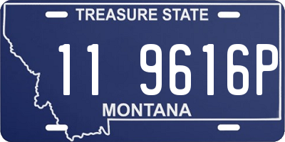 MT license plate 119616P
