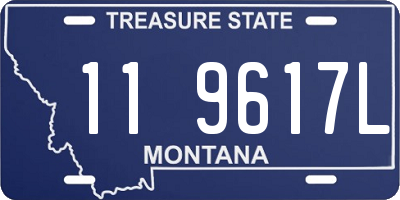 MT license plate 119617L