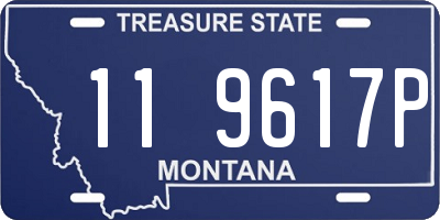 MT license plate 119617P