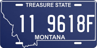 MT license plate 119618F