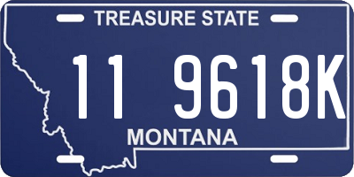 MT license plate 119618K