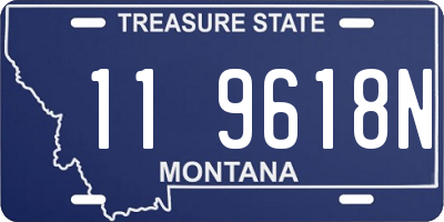 MT license plate 119618N