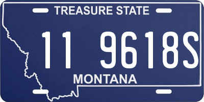 MT license plate 119618S