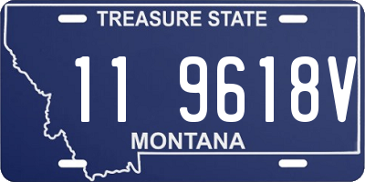 MT license plate 119618V