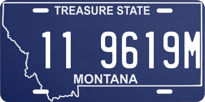 MT license plate 119619M