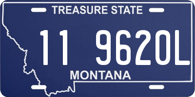 MT license plate 119620L