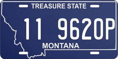 MT license plate 119620P