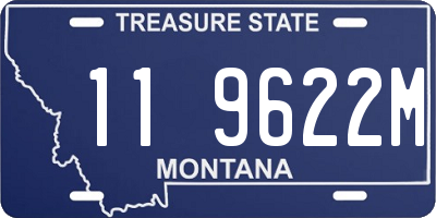 MT license plate 119622M
