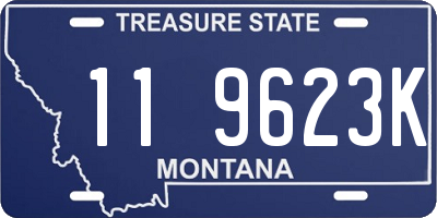 MT license plate 119623K