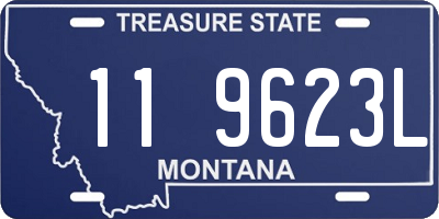 MT license plate 119623L