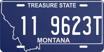 MT license plate 119623T