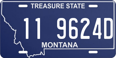 MT license plate 119624D