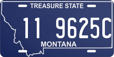 MT license plate 119625C