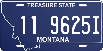 MT license plate 119625I