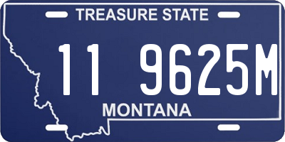 MT license plate 119625M