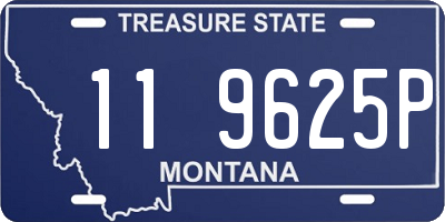 MT license plate 119625P