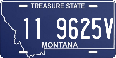 MT license plate 119625V