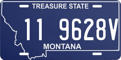 MT license plate 119628V