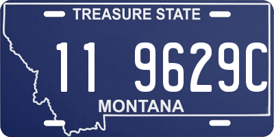 MT license plate 119629C