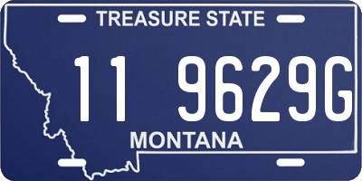 MT license plate 119629G