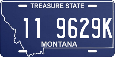 MT license plate 119629K