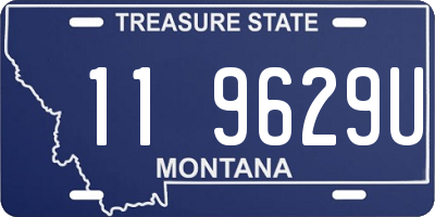 MT license plate 119629U