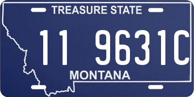 MT license plate 119631C