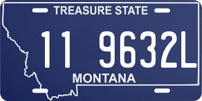 MT license plate 119632L