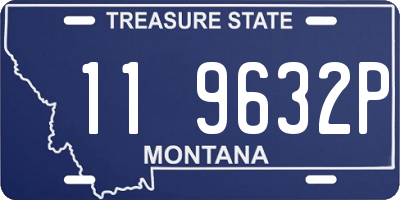 MT license plate 119632P