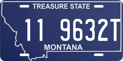 MT license plate 119632T