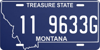 MT license plate 119633G