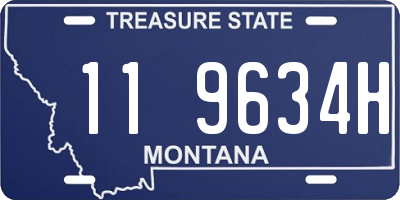 MT license plate 119634H