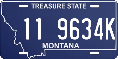 MT license plate 119634K