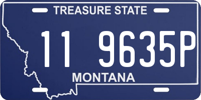 MT license plate 119635P