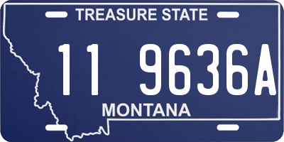 MT license plate 119636A
