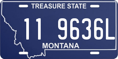 MT license plate 119636L