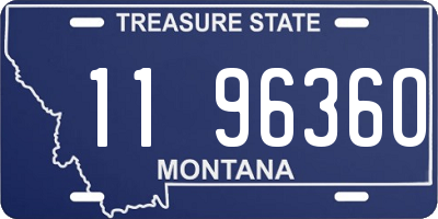 MT license plate 119636O