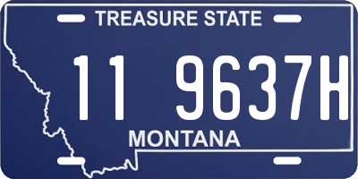 MT license plate 119637H