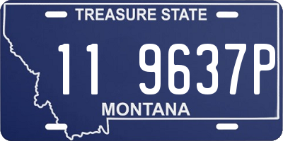 MT license plate 119637P