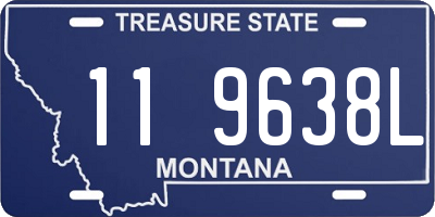 MT license plate 119638L