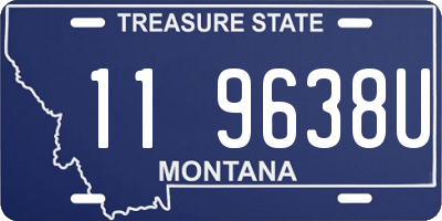 MT license plate 119638U