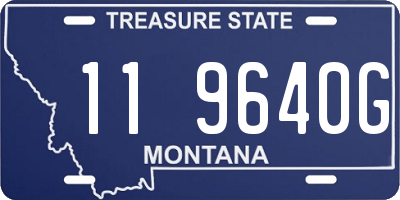 MT license plate 119640G