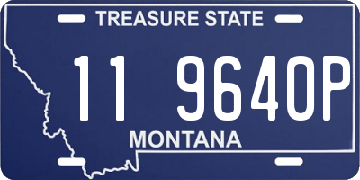 MT license plate 119640P