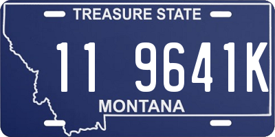 MT license plate 119641K