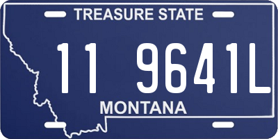 MT license plate 119641L