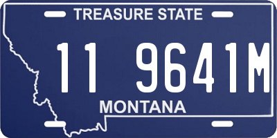 MT license plate 119641M
