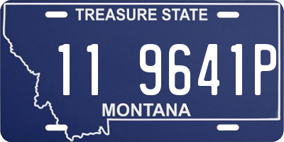 MT license plate 119641P