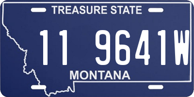 MT license plate 119641W