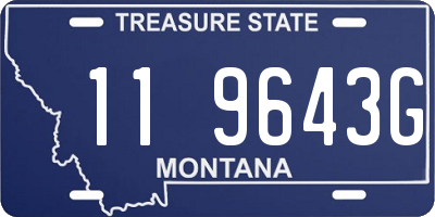 MT license plate 119643G